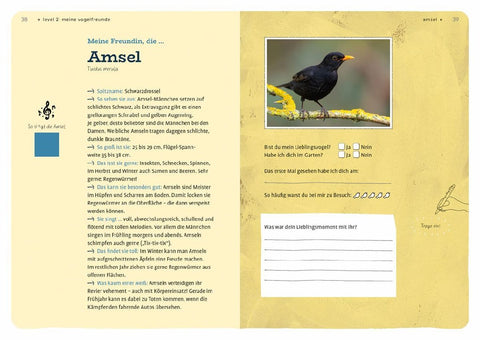 Dein Projekt. Dein Guide. Gartenvögel einladen & verwöhnen