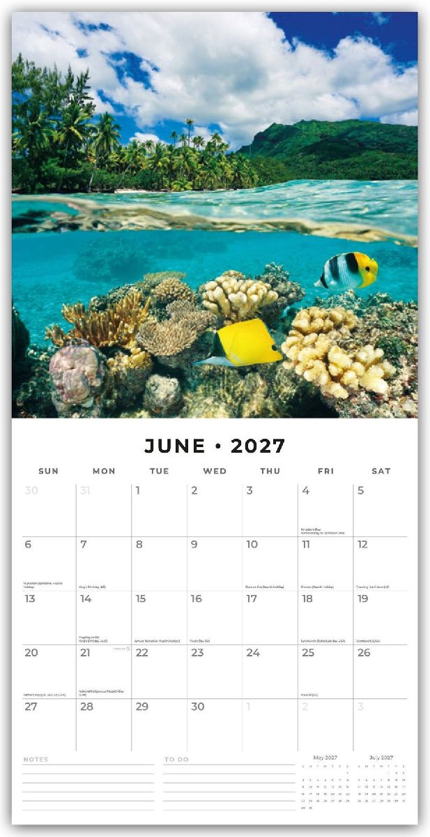 Ocean Life - Leben im Ozean 2027 - 16-Monatskalender (Innenansicht)