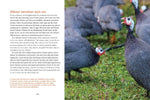 How to Read a Chicken's Mind (Innenansicht)