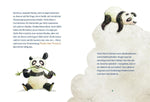 Panda-Pand (Innenansicht)