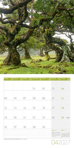Zauber des Waldes Kalender 2027 - 30x30 - Art12