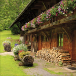 Schwarzwald 2027