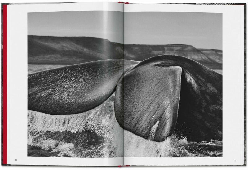 Sebastião Salgado. Genesis (Innenansicht)
