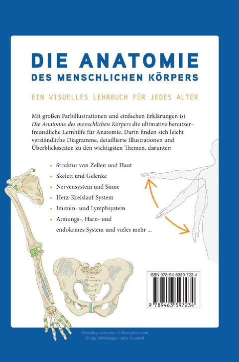 Die Anatomie des Menschlichen Körpers