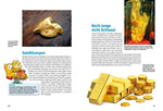 Entdecke das Gold (Innenansicht)