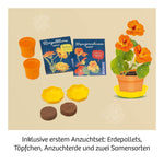 Blüten-Presse (Innenansicht)