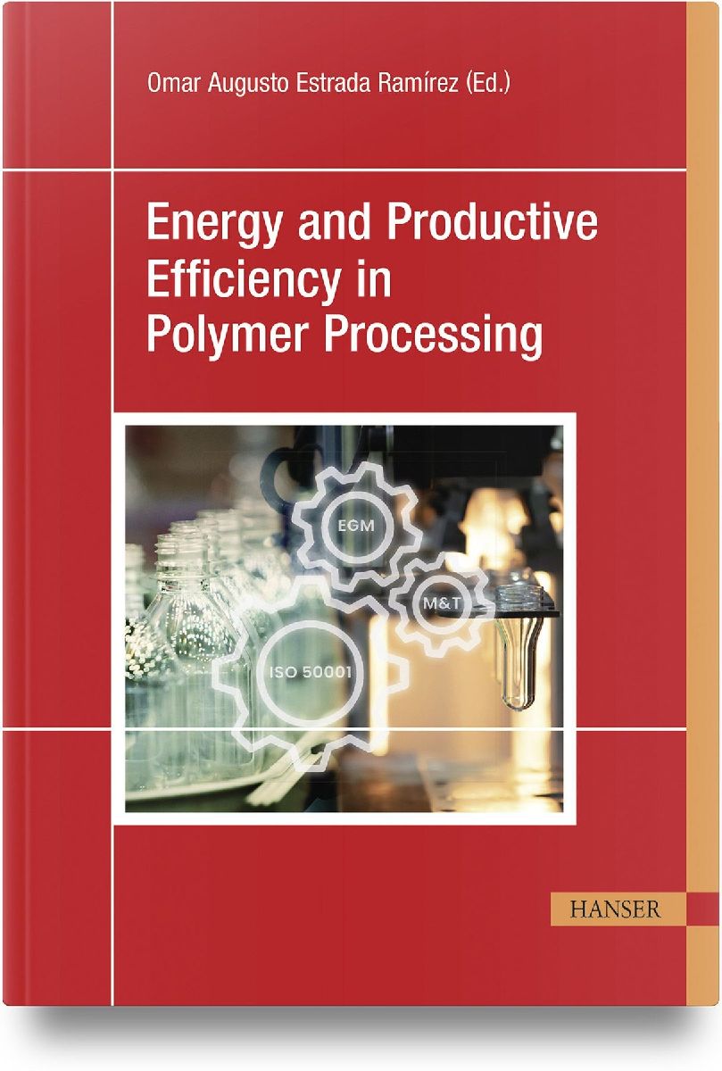 Energy and Productive Efficiency in Polymer Processing