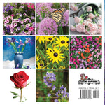 Flowers, A No Text Picture Book