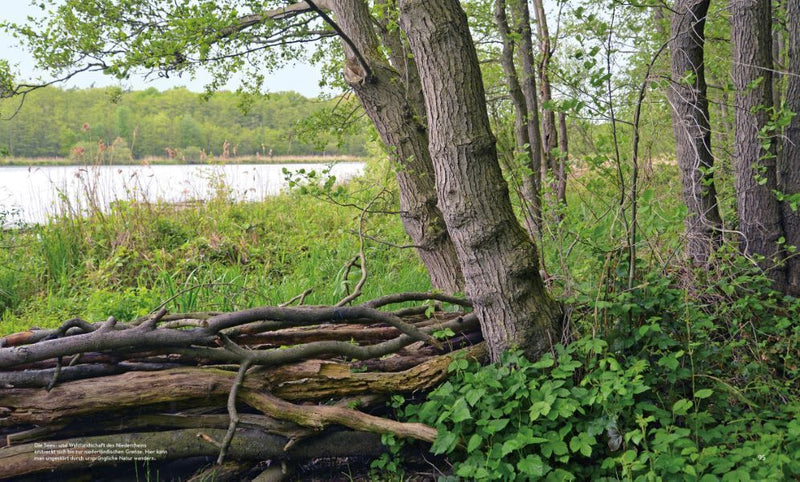 Wild Places Deutschland (Innenansicht)