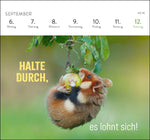 Postkartenkalender 2027: Kleine Glücksbringer für dein Jahr