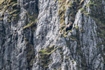 Ursus Brenta - Die Rückkehr der Bären in die Alpen