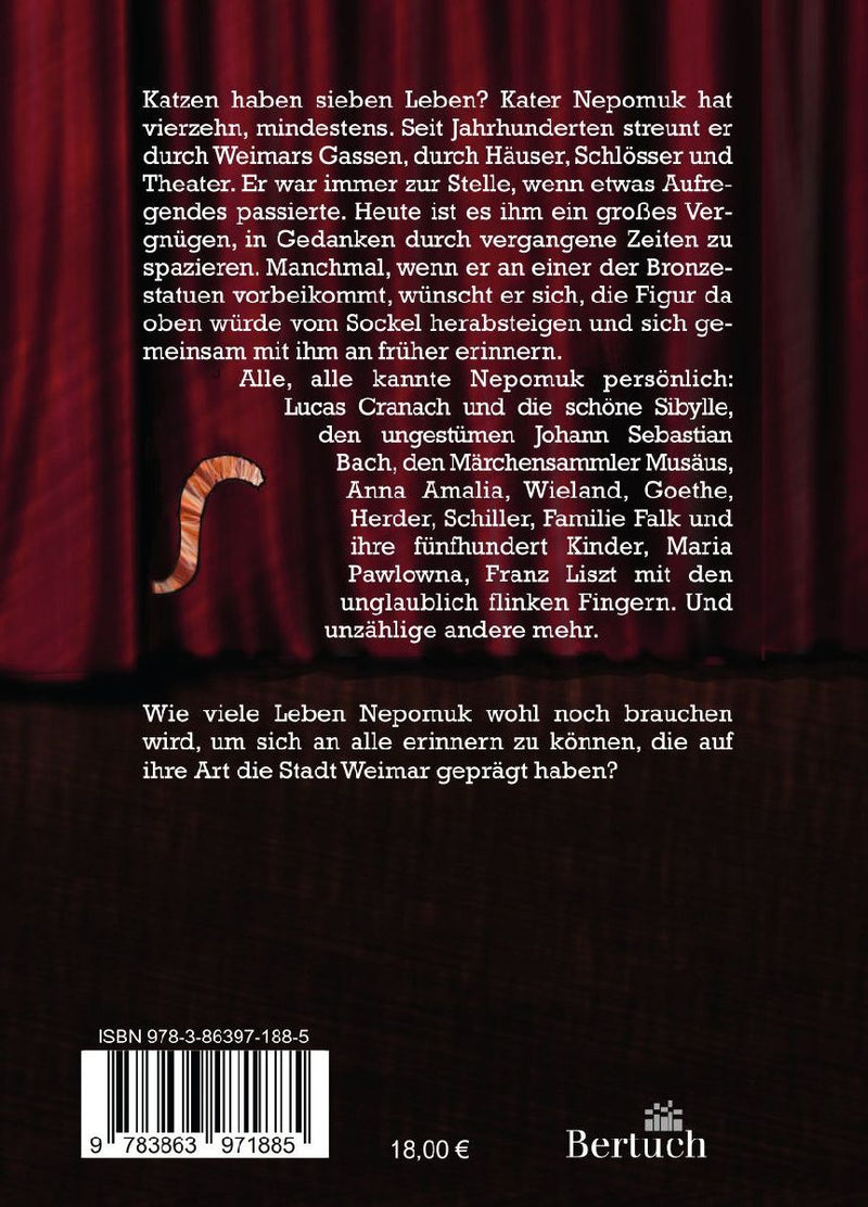 Kater Nepomuk und die Geister von Weimar (Rückseite)