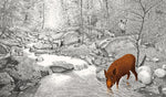 Versteckt im Wald (Innenansicht)