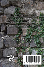 MythAstrology I
