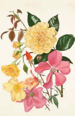 100 Blumen (Innenansicht)