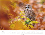 Eulen Kalender 2027