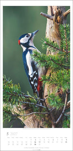 Im Wald Kalender 2027