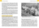 Waldbewirtschaftung in der Schweiz