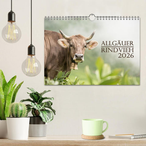 Allgäuer Rindvieh 2026 (Wandkalender 2026 DIN A4 quer), CALVENDO Monatskalender