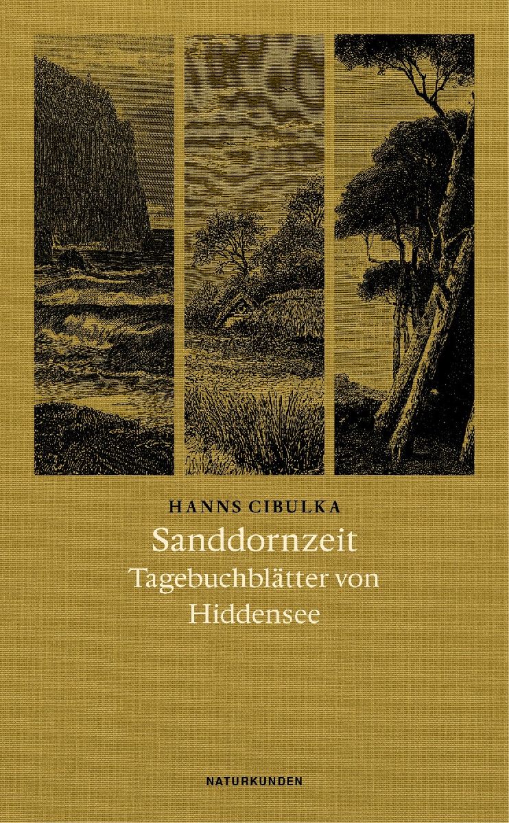 Sanddornzeit