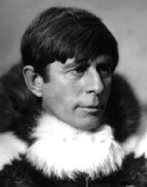 Tagebuch der Thule-Fahrt
