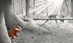 Versteckt im Wald (Innenansicht)