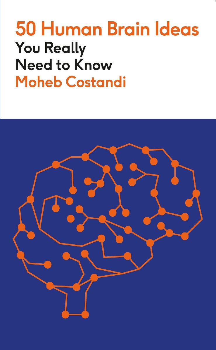 50 Human Brain Ideas You Really Need to Know