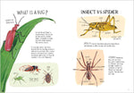 Insect Anatomy (Innenansicht)