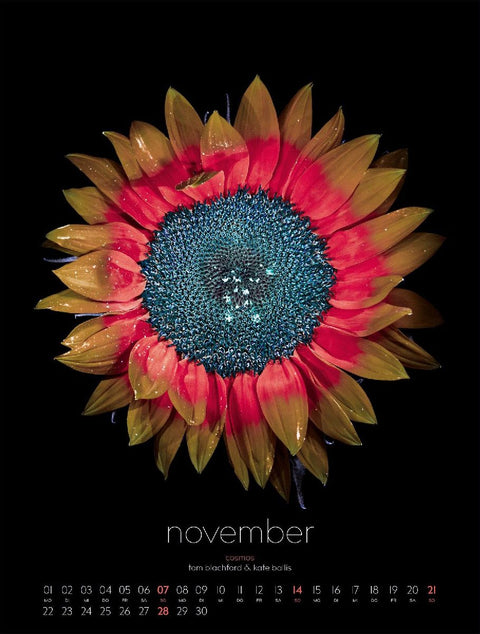 in bloom Kalender 2027