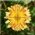 Das "Gelingt-immer"-Puzzle Wiesenblumen (Innenansicht)