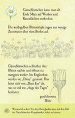 Natur-Entdecker-Karten: Unsere heimischen Blumen