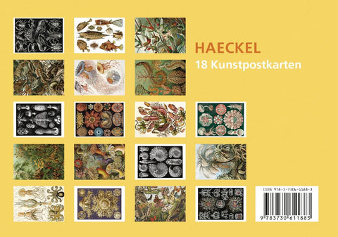 Postkarten-Set Ernst Haeckel