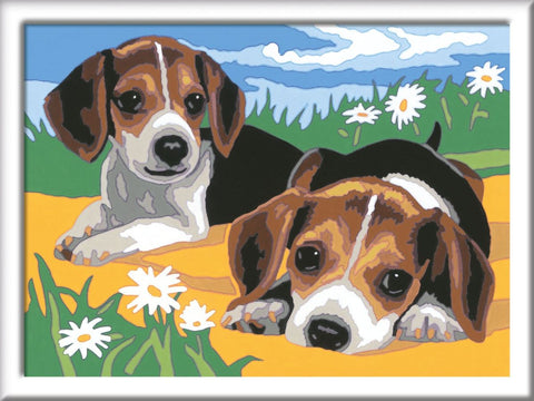 Jack Russel Welpen. Malen nach Zahlen Serie D