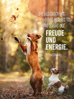 Hunde sind die besten Freunde