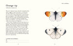 The Butterfly Spotter's Guide