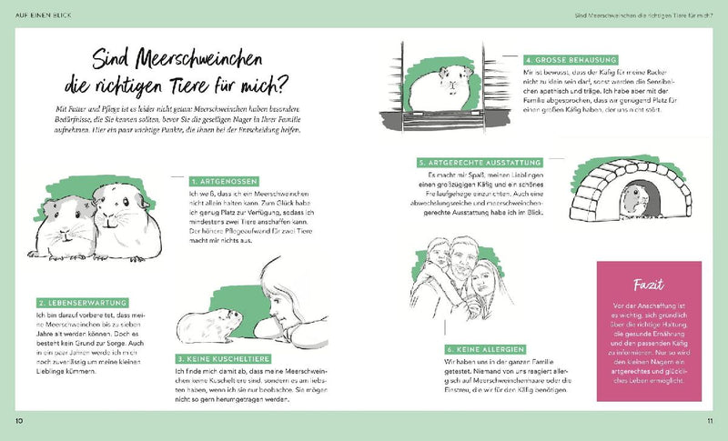 Meerschweinchen (Innenansicht)