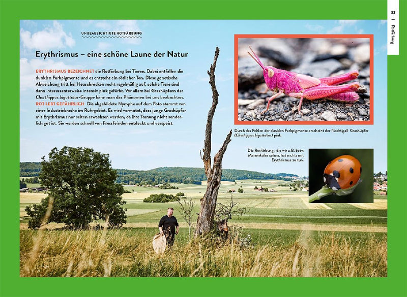 Nature Guide Insekten (Innenansicht)