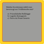 Das Hunde-Quiz (Neuauflage) (Innenansicht)