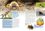 Entdecke Hummeln und andere Wildbienen