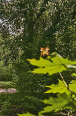 Goethes Gartenhaus