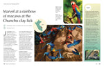 Lonely Planet The Joy of Birdwatching