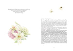 Miss Austen (Innenansicht)