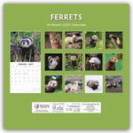 Ferrets - Frettchen 2027 - 16-Monatskalender