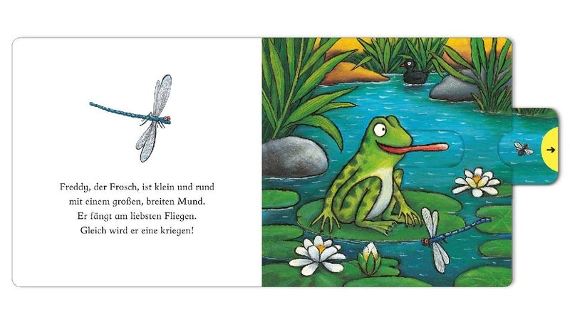 Freddy, der Frosch (Innenansicht)