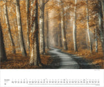 Waldspaziergang 2027