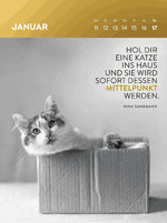 Wochenkalender 2027: Goldene Katzenweisheiten für jeden Tag (Innenansicht)