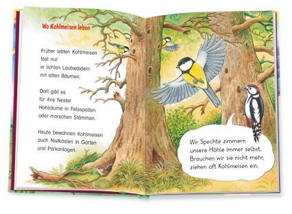 Die Meise (Innenansicht)