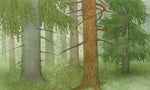 Die tanzende Waldmaus (Innenansicht)