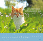 Wandkalender 2027: Für Katzenfreunde