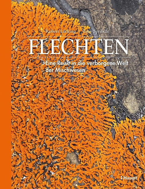 Flechten